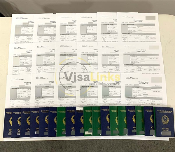Các loại visa lao động Hàn Quốc phổ biến hiện nay
