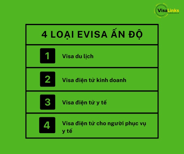 Có những loại eVisa Ấn Độ nào?