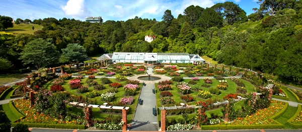 Vườn bách thảo Wellington