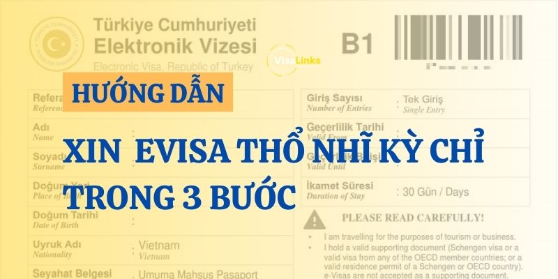 Hướng dẫn xin e-visa Thổ Nhĩ Kỳ