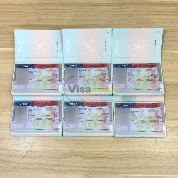 Dịch vụ xin visa Mỹ trọn gói tại Visalinks