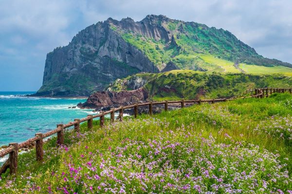 Đi du lịch Jeju có cần visa không?