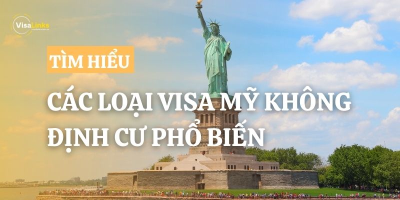 Tổng hợp các loại visa Mỹ không định cư phổ biến hiện nay