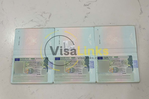 Các loại visa Đức phổ biến hiện nay