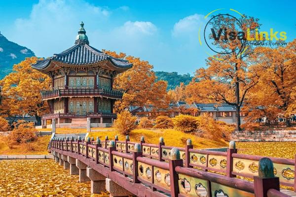 Thời điểm lý tưởng để đi du lịch Seoul tự túc