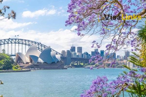 Du lịch Sydney tự túc vào mùa nào đẹp nhất?