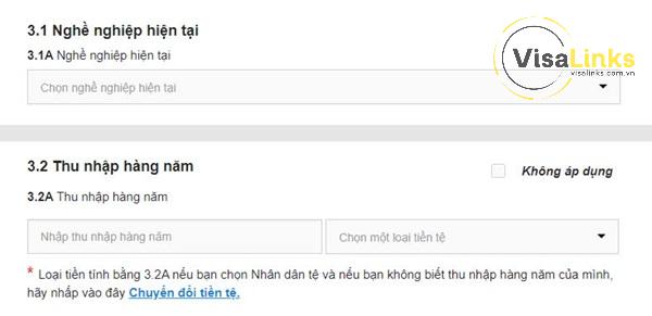 Thông tin về công việc hiện tại của đương đơn