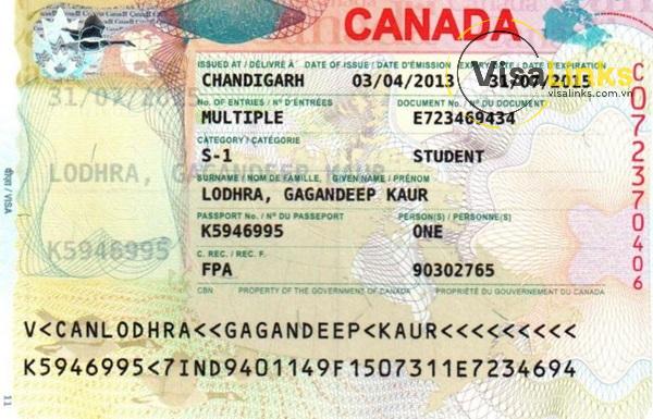 Visa du học Canada là gì?