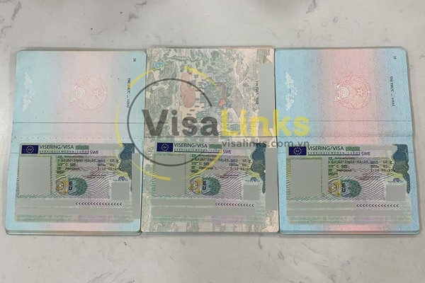 Các loại visa Thụy Điển