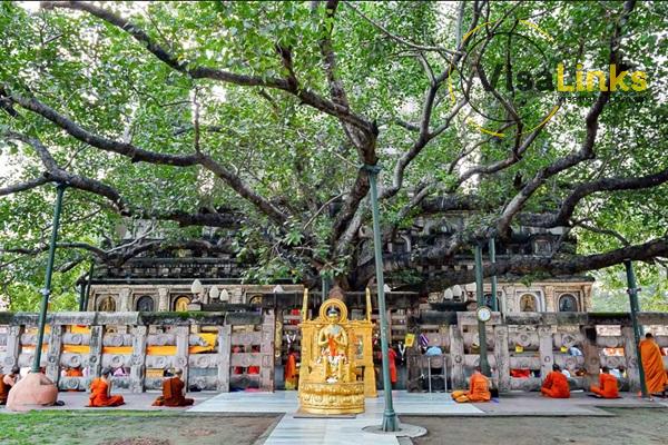 Bồ Đề Đạo Tràng – Nơi Đức Phật thành đạo