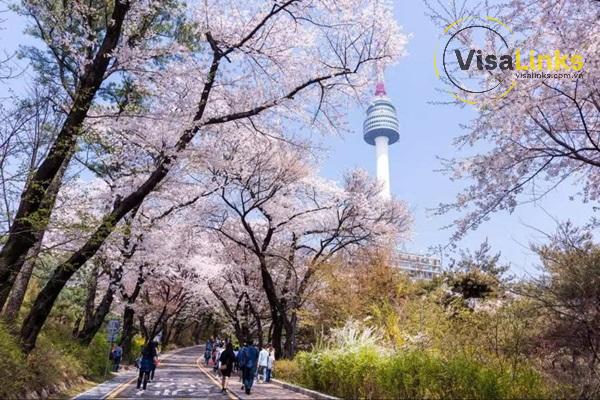 Công viên Namsan