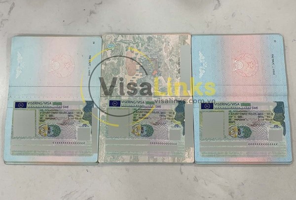 Điều kiện xin visa công tác Thụy Điển