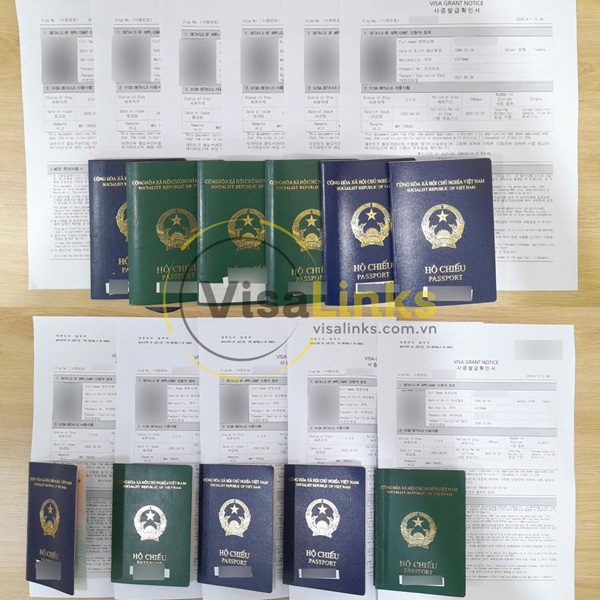 Ai nên sử dụng dịch vụ làm visa Hàn Quốc tại Visalinks