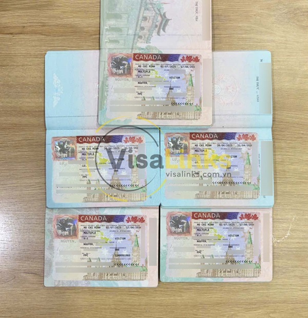 Các loại visa Canada phổ biến hiện nay