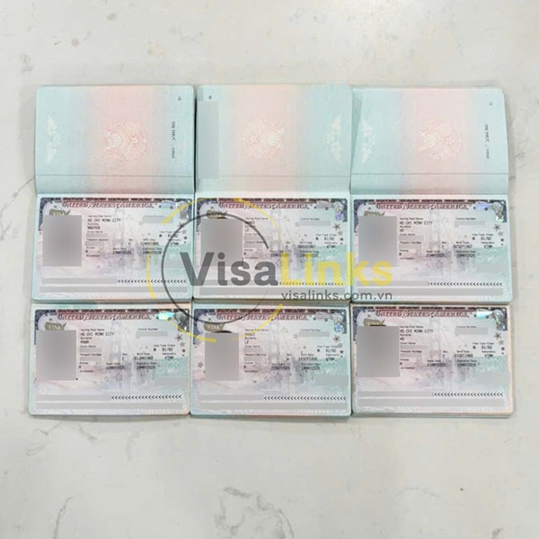Các dịch vụ làm visa Mỹ tại Bình Chánh của Visalinks