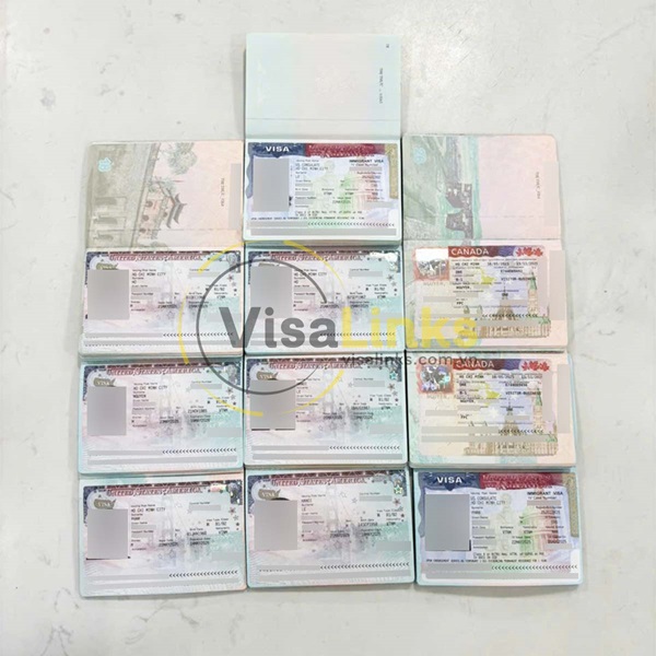 Những loại visa Mỹ phổ biến mà Visalinks hỗ trợ