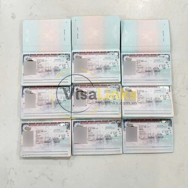 Visa Mỹ là gì?