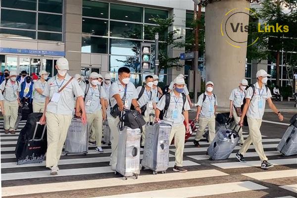 Quyền lợi khi sở hữu visa D10 Hàn Quốc