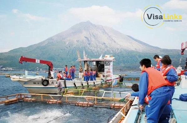 Điều kiện xin visa E10 Hàn Quốc mới nhất gồm những gì?
