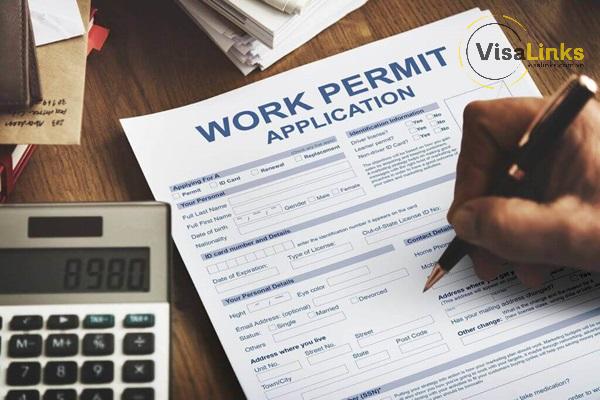 Hồ sơ xin visa H1 Hàn Quốc cần những giấy tờ gì?