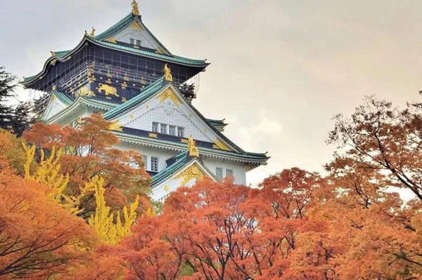 Du lịch tự túc Osaka mùa thu