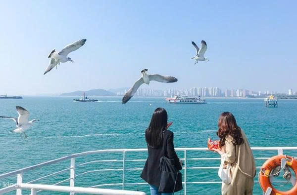 Lịch trình du lịch Hàn Quốc 5N4Đ ngày 4