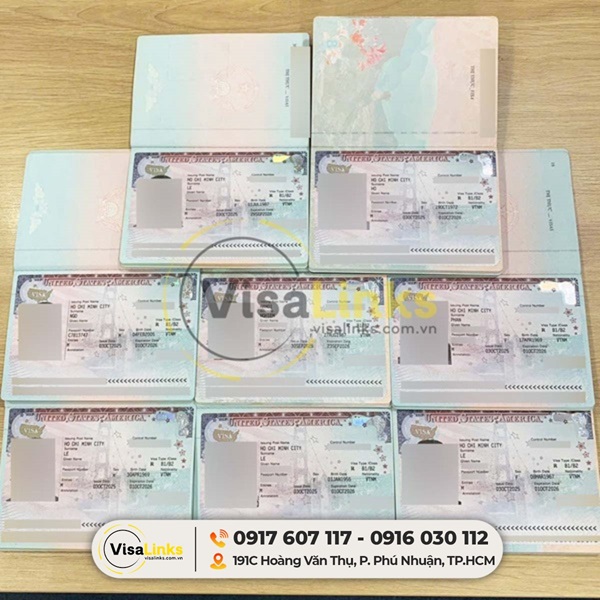 Visa B1 B2 là gì?