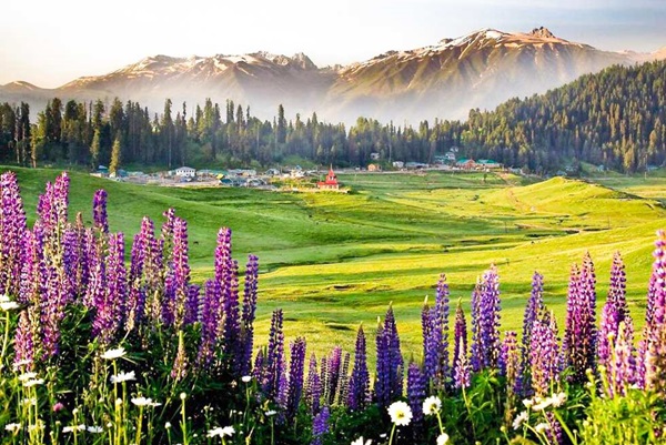 Kashmir địa điểm du lịch thiên nhiên đẹp nhất Ấn Độ