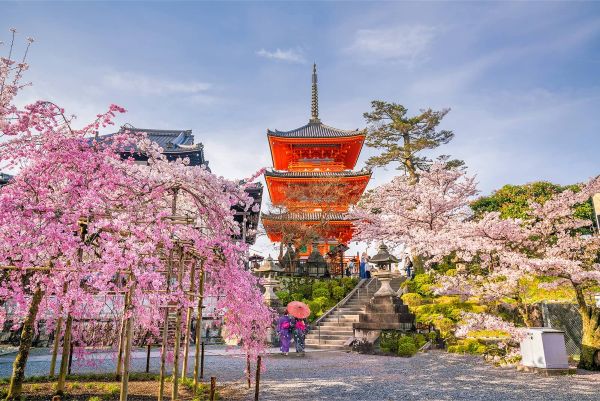 Du lịch Tokyo mùa xuân