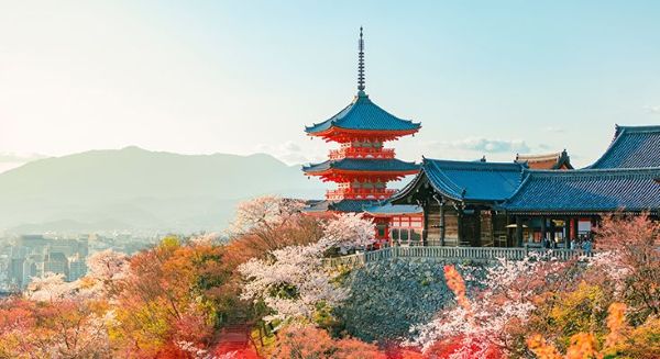 Gợi ý mẫu lịch trình du lịch Nhật Bản tự túc 7 ngày 6 đêm Tokyo – Kyoto – Osaka