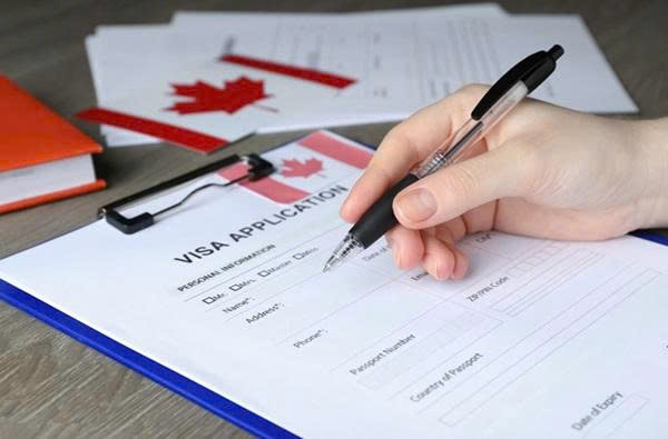 Tìm kiếm sự hỗ trợ từ chuyên gia tư vấn visa
