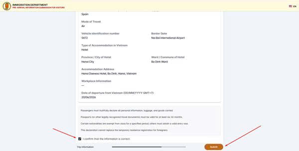 Kiểm tra và nộp tờ khai (Review & Submit)