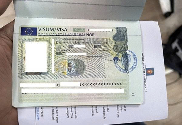 Mỗi loại visa Na Uy sẽ phù hợp với từng mục đích nhập cảnh khác nhau